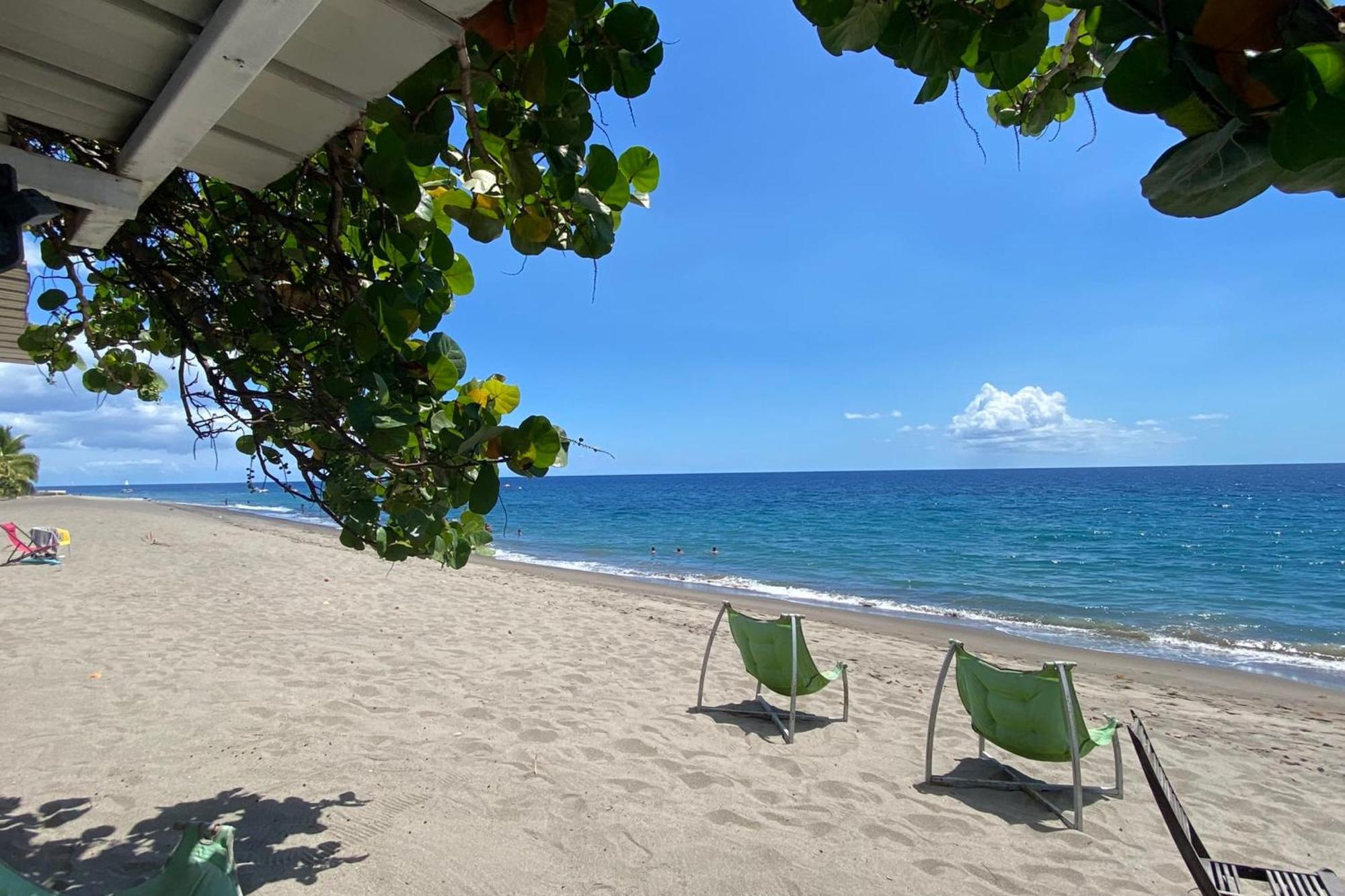 972M Beautiful Air-Conditioned Villa With Garden Le Carbet Esterno foto